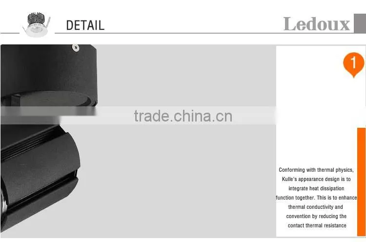adjustable high power 30w cob led ceiling light