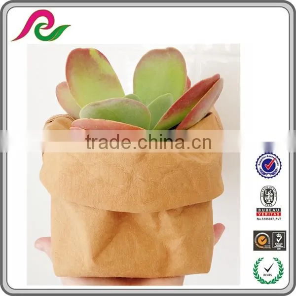 Recyclable Washable Strong Brown Kraft Paper Bag /Storage Bag/Planting bag
