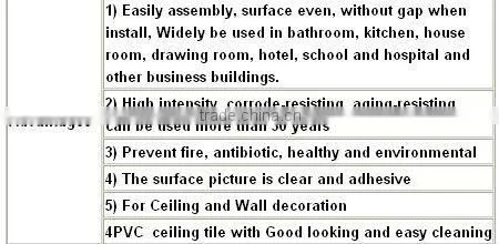 Fahion indoor pvc decoration panel
