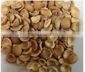 Nut apricot almond husk shell kernel separator separating machine(whatsapp:13782789572)