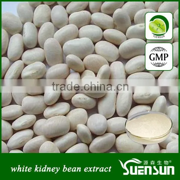 white kidney bean extract 1% 2% phaseolin white kidney bean extract powder