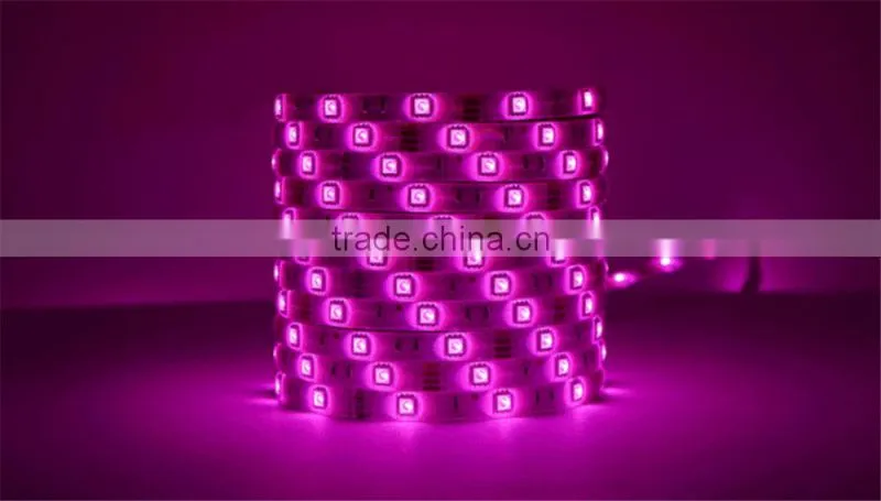 LED colorful Light Strip 5050 SMD 12V 30 lights RGB lights strips (waterproof) 5 m 150 lights +44-key controller +power supply