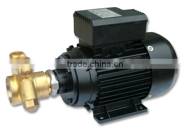 Vane Rotary Pump 100GPH PROCON PUMP