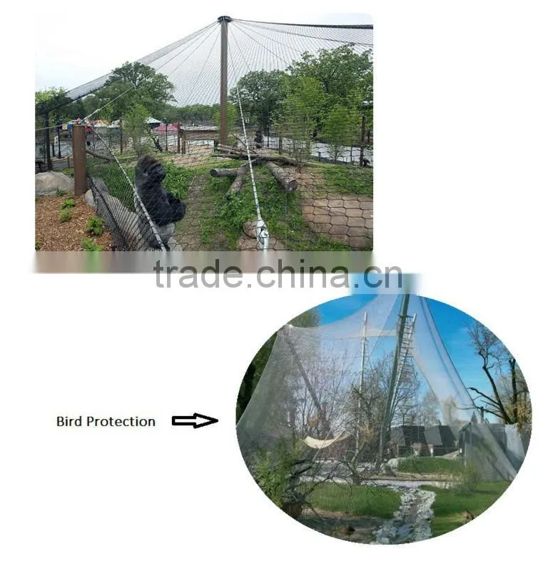 Anping stainless steel Zoo Aviary Mesh