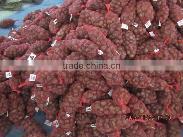 price chestnuts of 2013