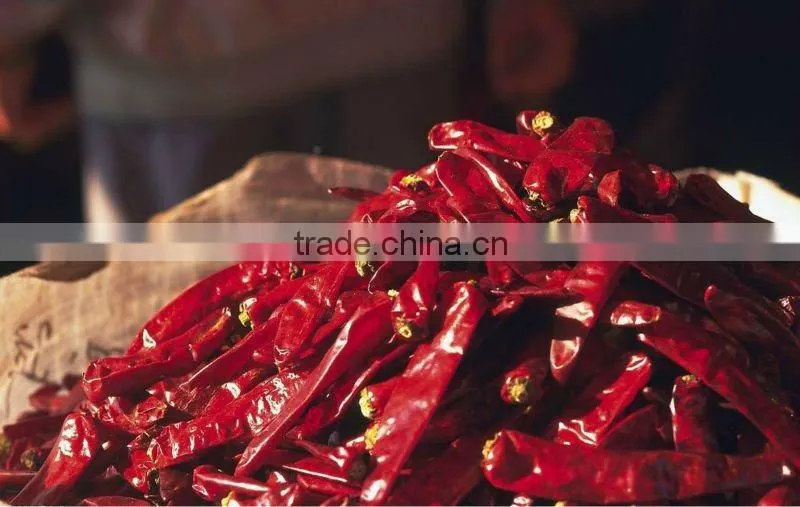 we supply red chilli