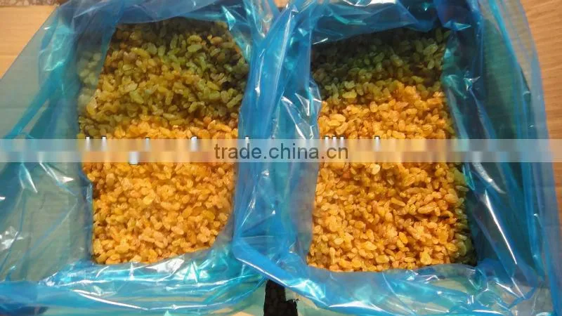 chinese wholesale price dried golden raisin