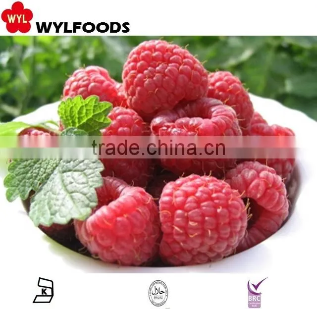 IQF frozen raspberry grade A whole