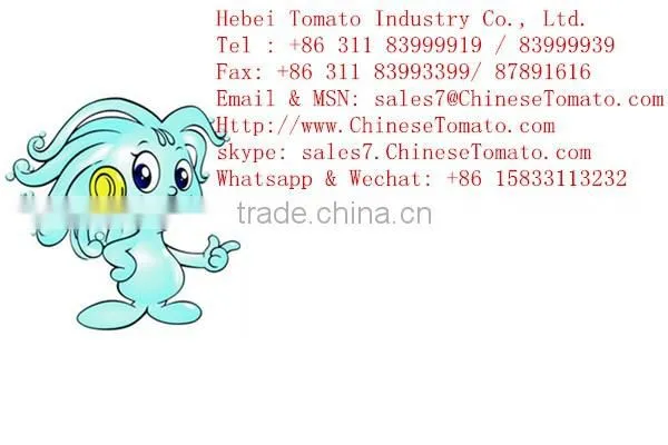125g 155g 425g OEM Canned Sardine In Tomato Sauce and In Vegetable Oil with Low Price