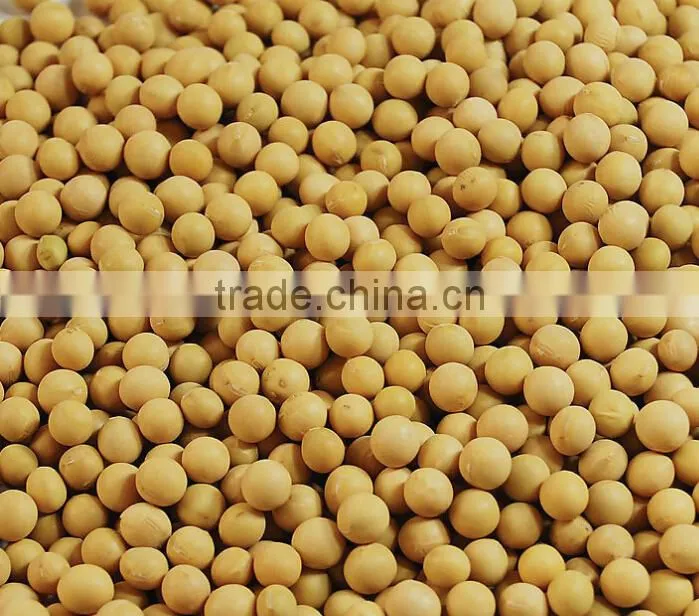 grain cleaning machine/soybean washing machine