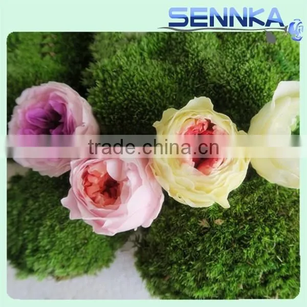 Wedding Favors Preserved Austin Rose Flower Wholesale Approximately 4.5cm Diameter