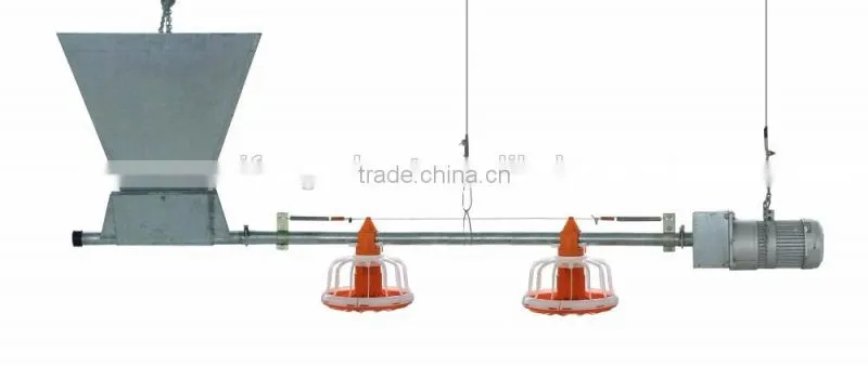 hot sale broiler breeder chicken poultry breeding houses