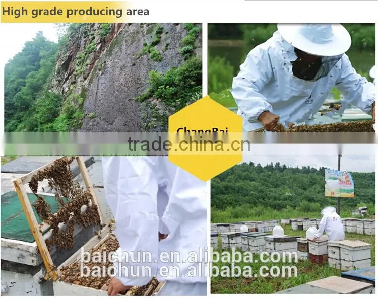 extrato de propolis tablet with ISO Certificate and GMP