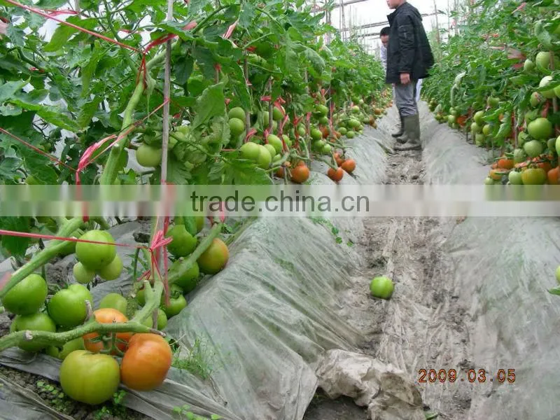green house twine