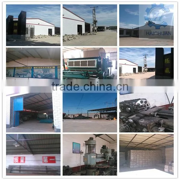 CE Approved Full Automatic egg tray machine production line