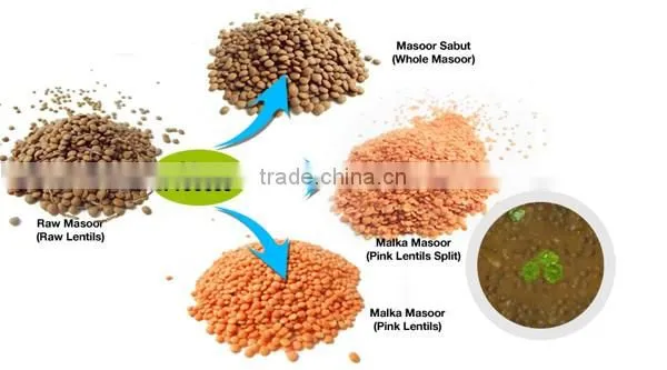 Low price 5,10TPH full automatic lentil processing line