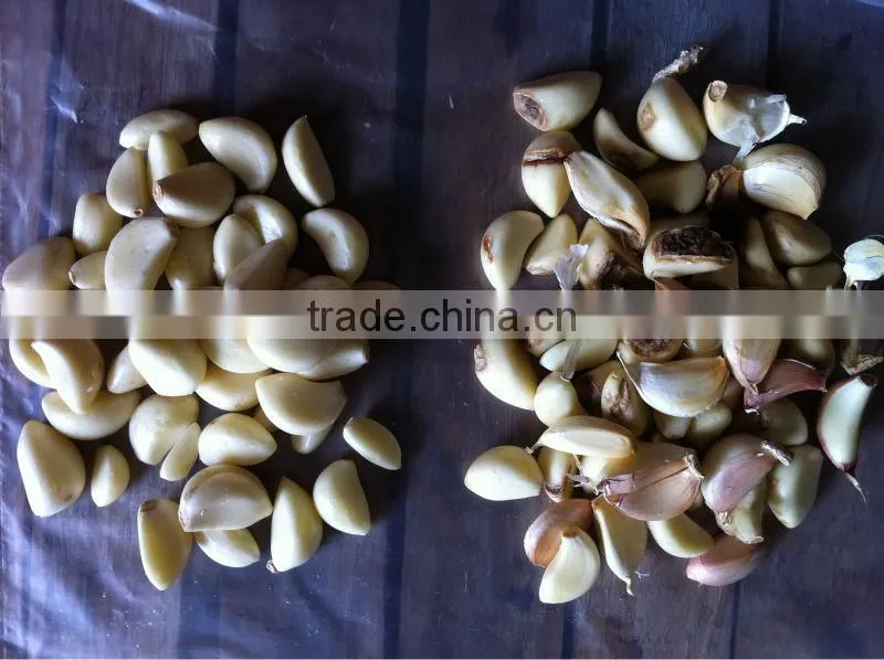 Anhui Hongshi High-Tech, Garlic CCD Color Sorter