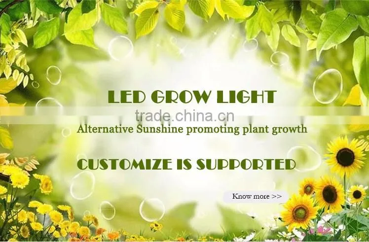 China full spectrum wholesale led grow lights