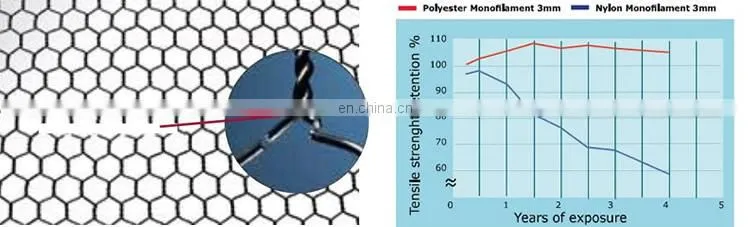 Factory Pet Fish Farming Cage Netting Agriculture Fish Farm Nets Hexagonal Wire Mesh