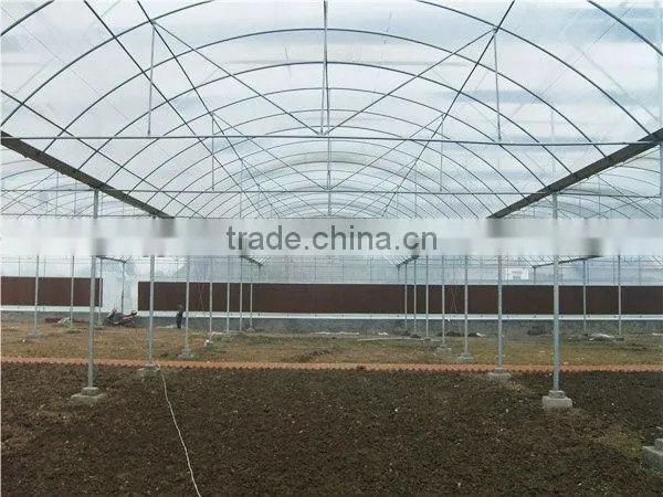 large garden greenhouses