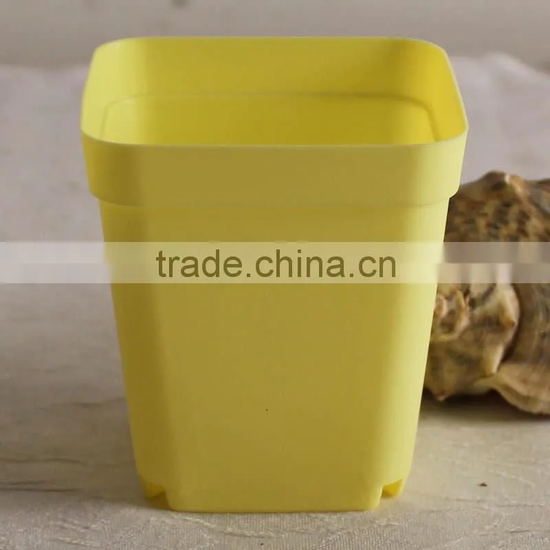 mini PP plastic flower pot colorful