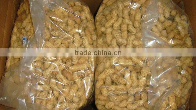 New crop roasted peanuts in shell