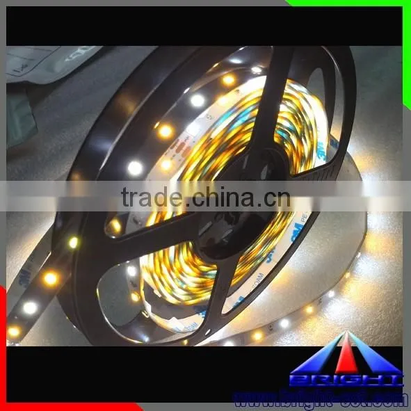 SMD2835 color changing LED strip light DC 12V CCT changeable LED Flexible strip