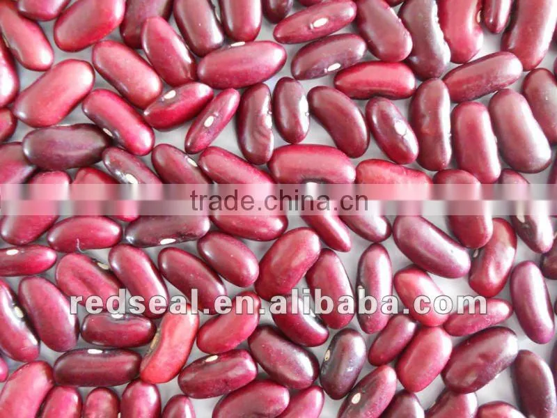 Organic pink kidney beans 2016
