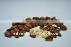 New crop Chinese pine nut kernels