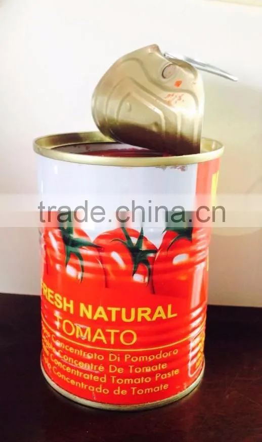 Fresh Food Tomato Sauce, Canned Tomato Paste Size 70g~3000g tomato paste factory