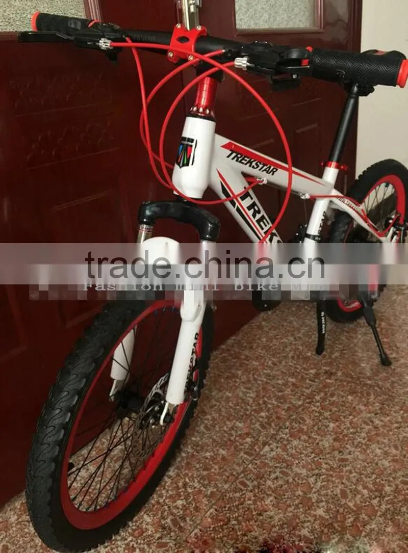 Bicycle Fashion Mini Bike MTB 10 Inches Sports Gear Steel Folding Bike Sell Like Hot Cakes