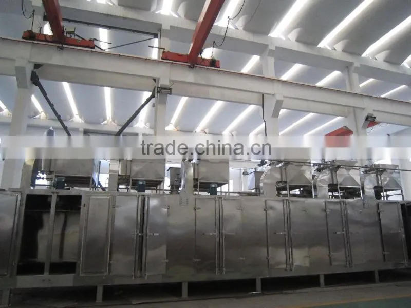 Vegetable/apple/fruit mesh belt dryer