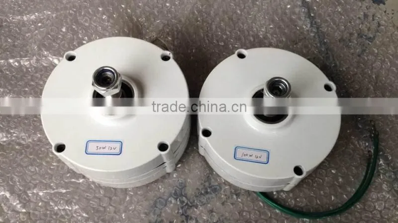 100w permanent magnet generator