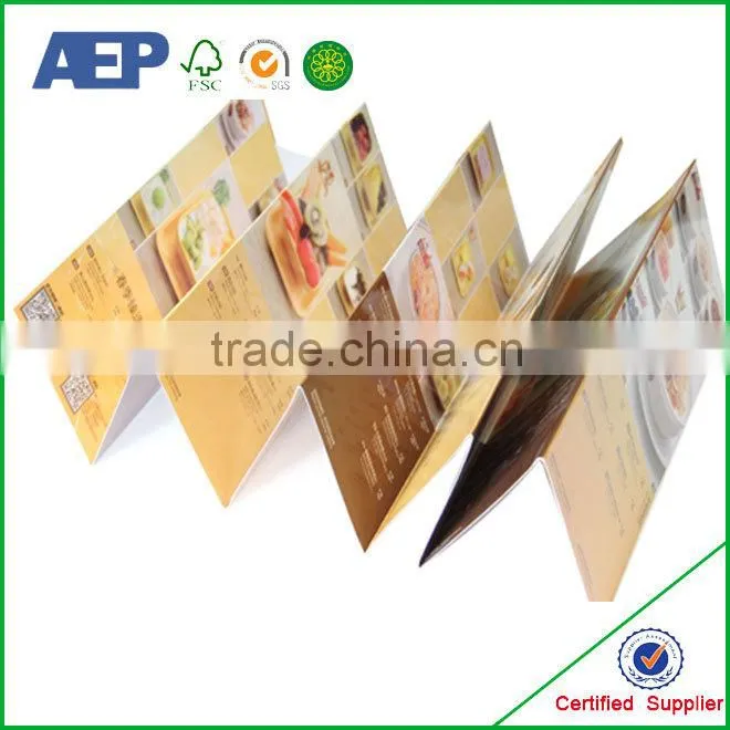 Costom cheap colorful advertising booklets printing