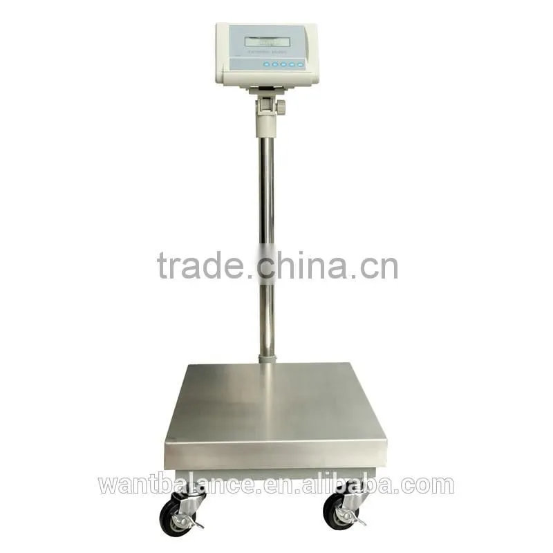 300kg scale model