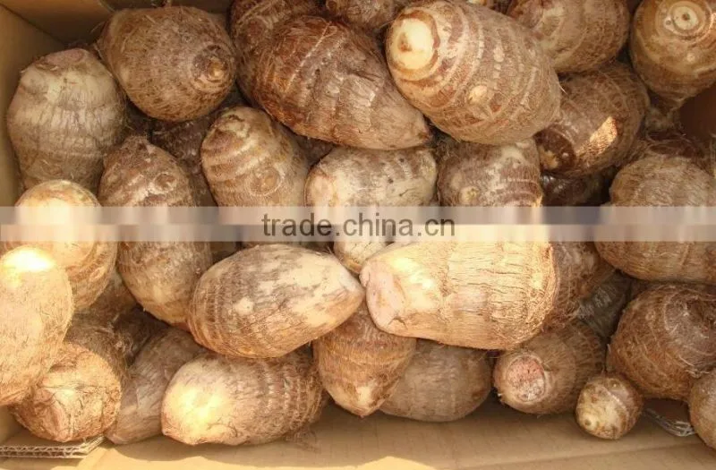 Chinese taro root 60g and up