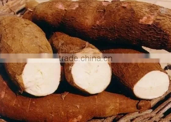 2016 CROP VIETNAM TAPIOCA/CASSAVA STARCH/CHIPS