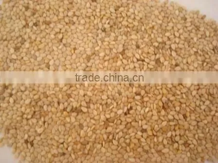 Sesame Seed
