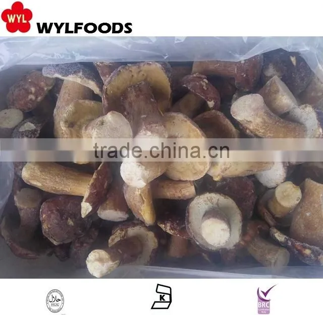 frozen boletus edulis yunnan for hot sale