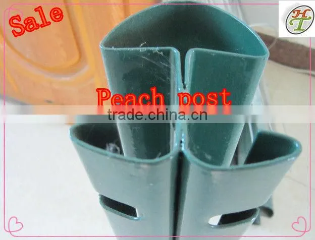 mesh fence T post Y post email:fence@apnetting.com