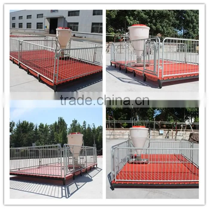 Goldenest High quality cheap price automatic farrowing crate for pigs sow sty farming equipment for sale