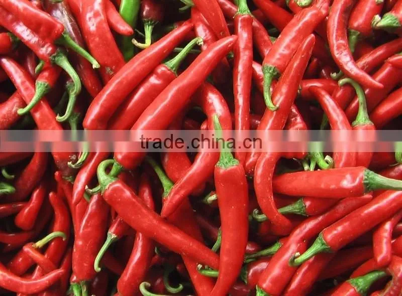 FRESH/DRIED CHILI 2016 CROP (trangnt@kego.com.vn