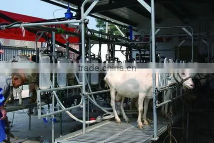 most popular and best selling cow milking machine price