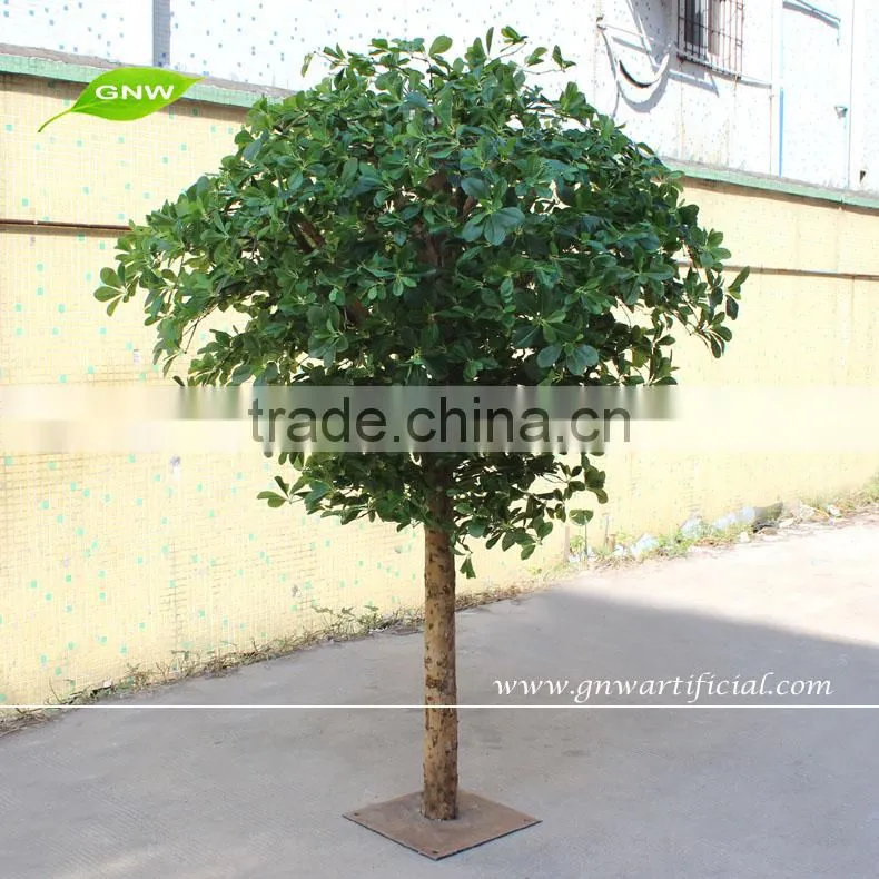 GNW BTR030 Little green money tree for decoration