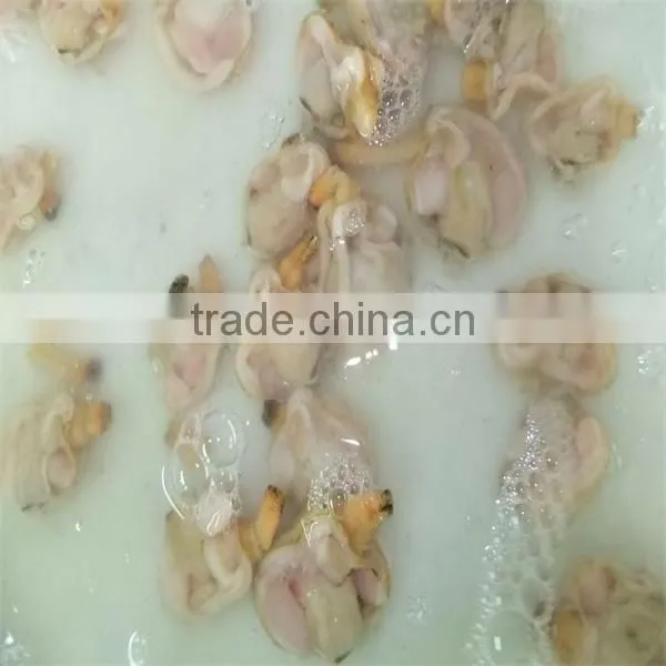 frozen seafood conch