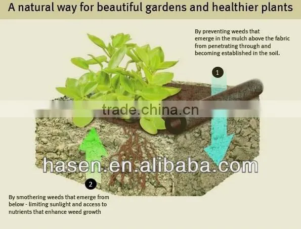 2015 hot sale product agriculture nonwoven fabric