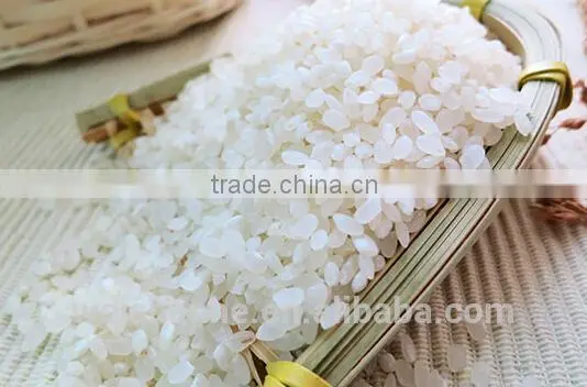 Sushi rice