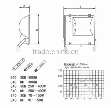 1000W Die-casting Aluminium MH/SON IP65 Flood Light