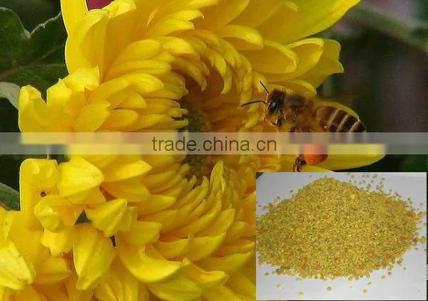 buy bee pollen from Sinova