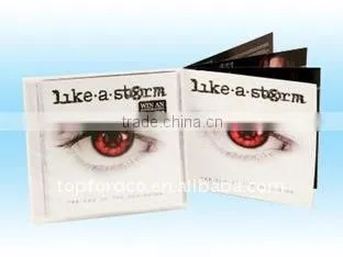 4.7GB DVD duplication service